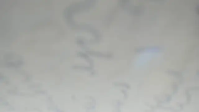 elis gabbi online show from 12/20/25, 01:23