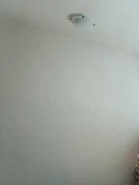 Virgin Pussy Love online show from 07/16/26, 04:57