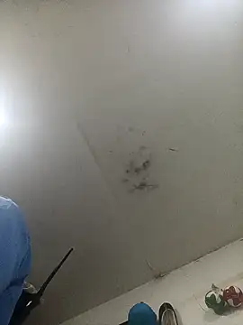 Snapshot of jeremiabello chatting on 02/14/25, 01:02 jeremiabello online show from 02/14/25, 01:02