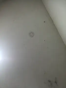 Snapshot of jeremiabello chatting on 03/17/25, 10:49 jeremiabello online show from 03/17/25, 10:49