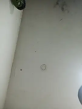 Snapshot of jeremiabello chatting on 03/22/25, 04:45 jeremiabello online show from 03/22/25, 04:45