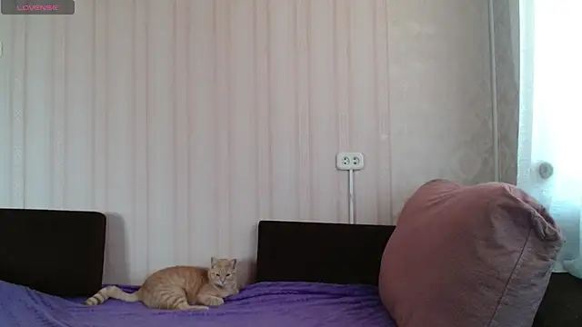 Snapshot of KellyCrystall chatting on 03/12/25, 04:30 KellyCrystall online show from 03/12/25, 04:30