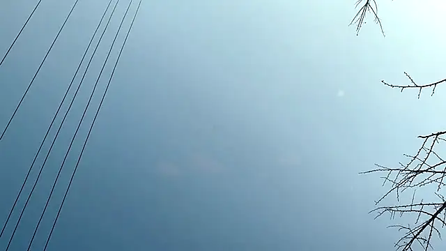 QianF-666 online show from 02/13/25, 09:30