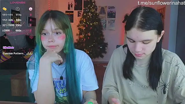 812sunflowerinahat online show from 12/15/24, 09:03