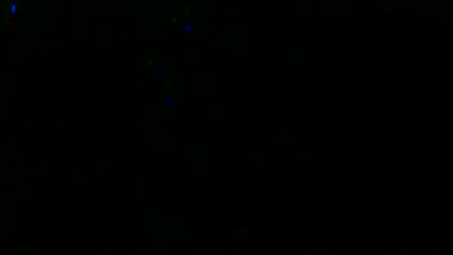 Snapshot of Gman143187 chatting on 03/13/25, 09:43 Gman143187 online show from 03/13/25, 09:43