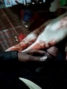 Snapshot of Antor1234 chatting on 12/15/24, 06:37 Antor1234 online show from 12/15/24, 06:37