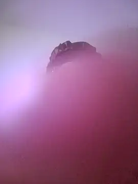 giuliana andrade online show from 01/22/25, 10:59