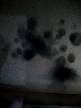 Leocesar37 online show from 04/13/26, 02:17