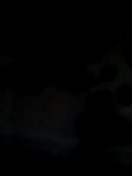 Leocesar37 online show from 06/21/26, 05:43