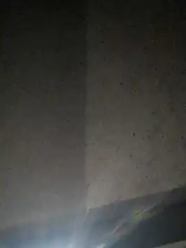 Leocesar37 online show from 07/10/26, 11:57