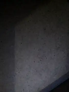 Leocesar37 online show from 07/23/26, 04:54
