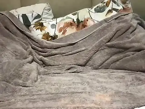 pe netrad0r online show from 03/29/26, 02:22