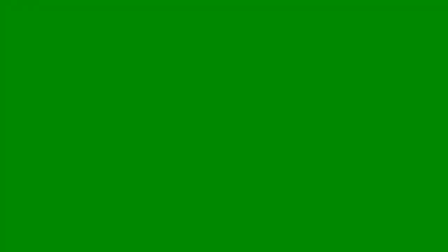 pettergrey1 online show from 07/26/26, 07:43