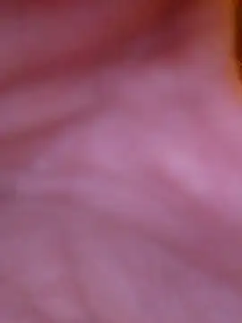 Freddyking146f online show from 11/30/25, 01:42