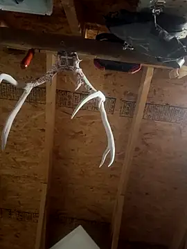 Snapshot of dcockell chatting on 10/23/25, 04:01 dcockell online show from 10/23/25, 04:01