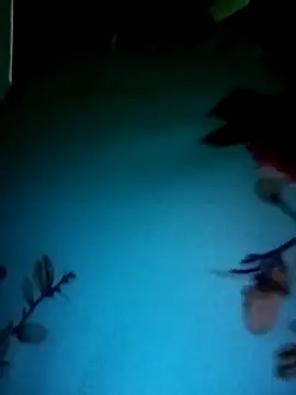 gunjan22 online show from 12/31/24, 05:22