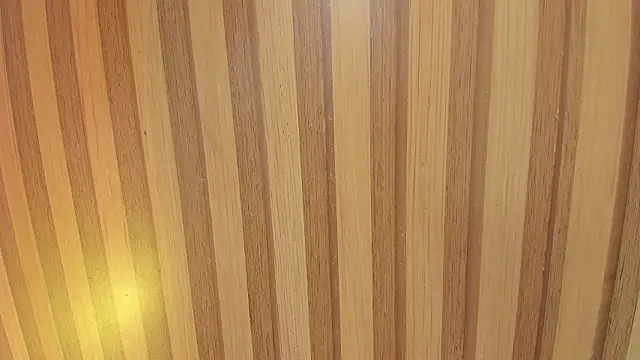 Taylor  cooper online show from 02/06/26, 06:22