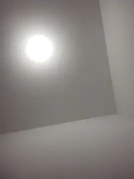 barboza991 online show from 12/28/24, 11:48