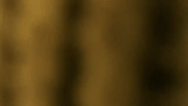 Lina lolo online show from 03/25/26, 11:55