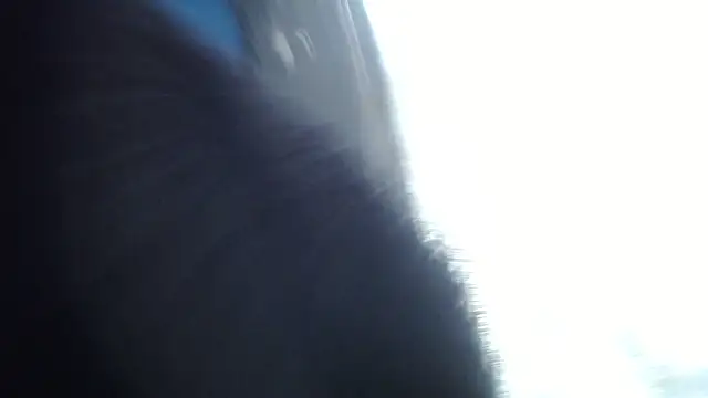 esjrobles online show from 07/31/26, 03:55