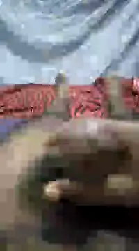 mallucallboy2104 online show from 01/01/25, 09:09