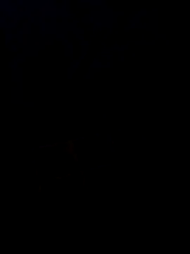 Desi SexyCoupleF online show from 12/02/25, 04:57