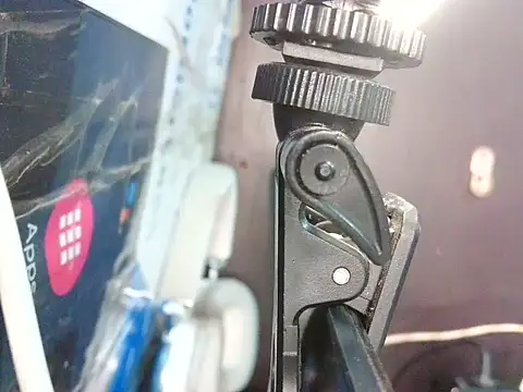 bellacrespalatina online show from 04/22/26, 02:40