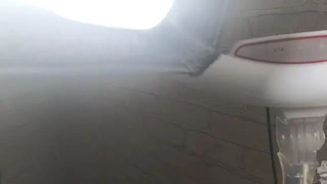 Nika Kitten online show from 01/12/26, 09:58