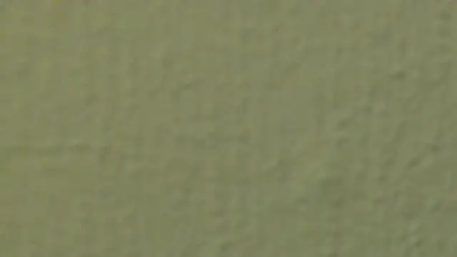 Snapshot of xLyibitsa chatting on 01/28/25, 07:21 xLyibitsa online show from 01/28/25, 07:21