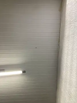 Snapshot of luara1988 chatting on 09/27/25, 11:04 luara1988 online show from 09/27/25, 11:04