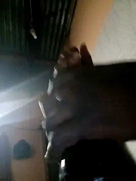 TastyAfrica online show from 02/10/26, 05:28