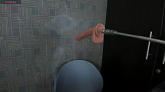 grace-3 online show from 11/29/25, 03:42