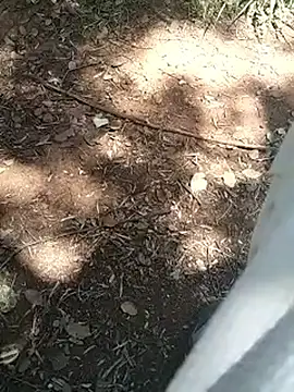 mehdi-l7away online show from 04/16/26, 12:06