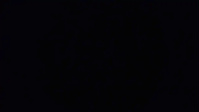 Raiye online show from 01/24/25, 06:03