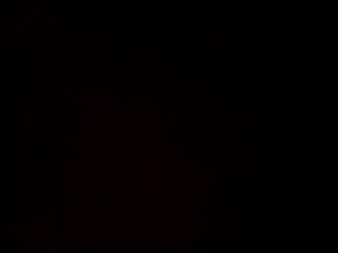 linksjack1010 online show from 02/23/25, 09:37