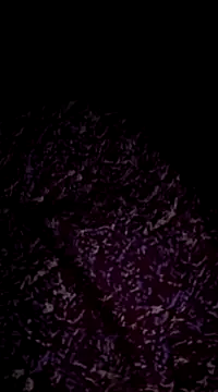 Hot-Anuska online show from 03/17/25, 05:38