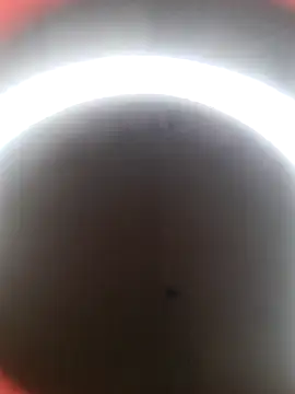 Snapshot of lolimirass24 chatting on 12/22/24, 02:49 lolimirass24 online show from 12/22/24, 02:49