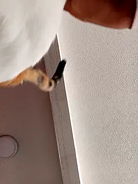 Skylar-Vox- online show from 09/23/25, 01:58