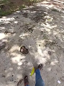 Snapshot of sudhastriper chatting on 10/26/25, 07:58 sudhastriper online show from 10/26/25, 07:58