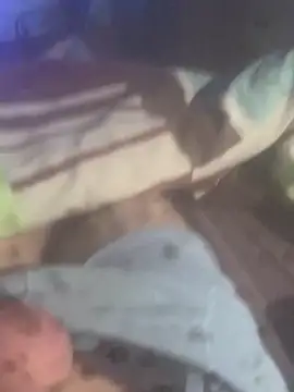 solomec online show from 11/19/25, 06:35