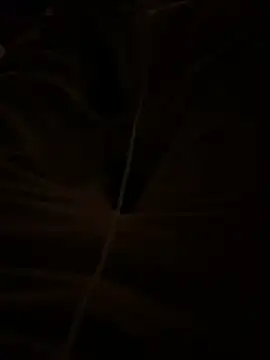 themasteer69 online show from 01/17/26, 08:45