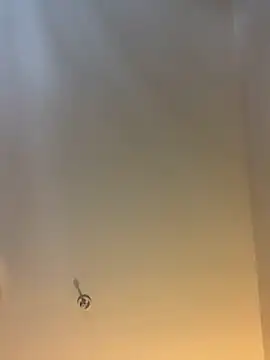 themasteer69 online show from 02/03/26, 08:36