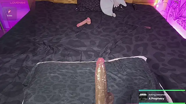 kellycakemeow online show from 06/17/26, 05:21