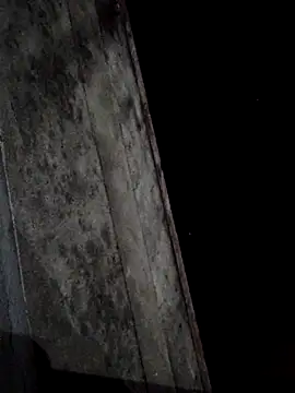 sana14 online show from 03/01/25, 03:05