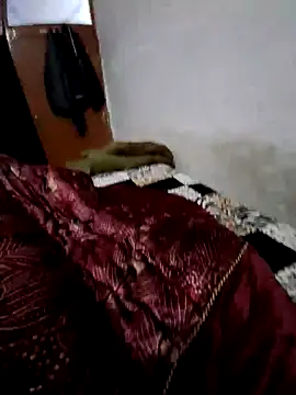 menakshiiikaur online show from 12/13/24, 02:16