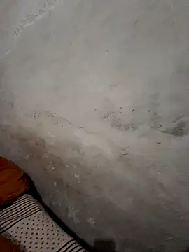 menakshiiikaur online show from 12/19/24, 01:40