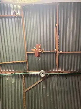 ElNegroRony online show from 04/02/26, 04:04