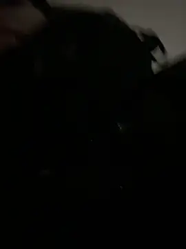 Snapshot of KitteCat chatting on 12/19/24, 02:46 KitteCat online show from 12/19/24, 02:46