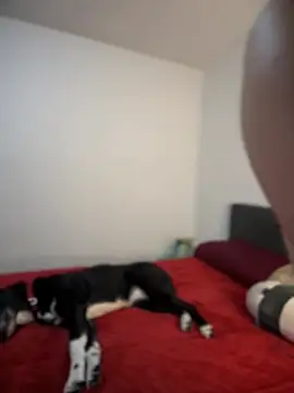 ariiel  online show from 02/03/25, 10:43