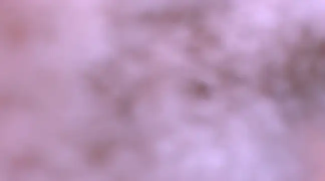 Snapshot of bubble_red chatting on 02/08/25, 04:47 bubble red online show from 02/08/25, 04:47